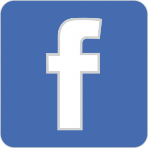 Facebook Icon X   Free Images At Clker Com   Vector Clip Art Online    