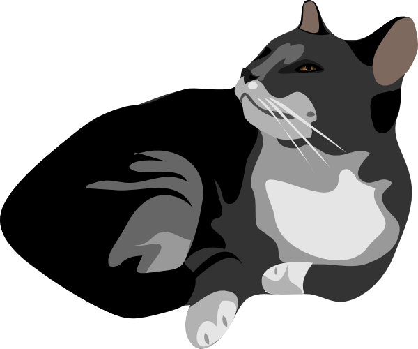 Gatto Cat Clip Art At Clker Com   Vector Clip Art Online Royalty Free