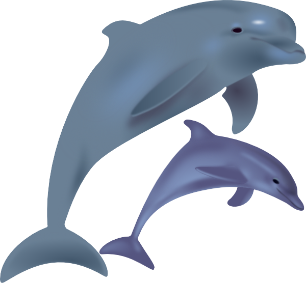 Dolphins Clip Art At Clker Com   Vector Clip Art Online Royalty Free