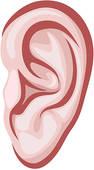 Ear   Clipart Graphic