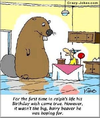 And Besides The Kind Of Jokes You Can Do With Beavers Are Unbecoming    
