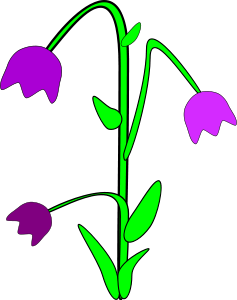 Bell Flower Clip Art