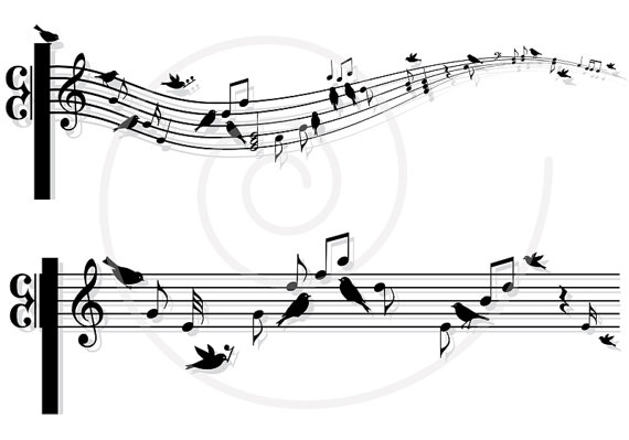 Notes With Birds Music Sheet Animal Digital Clip Art Clipart