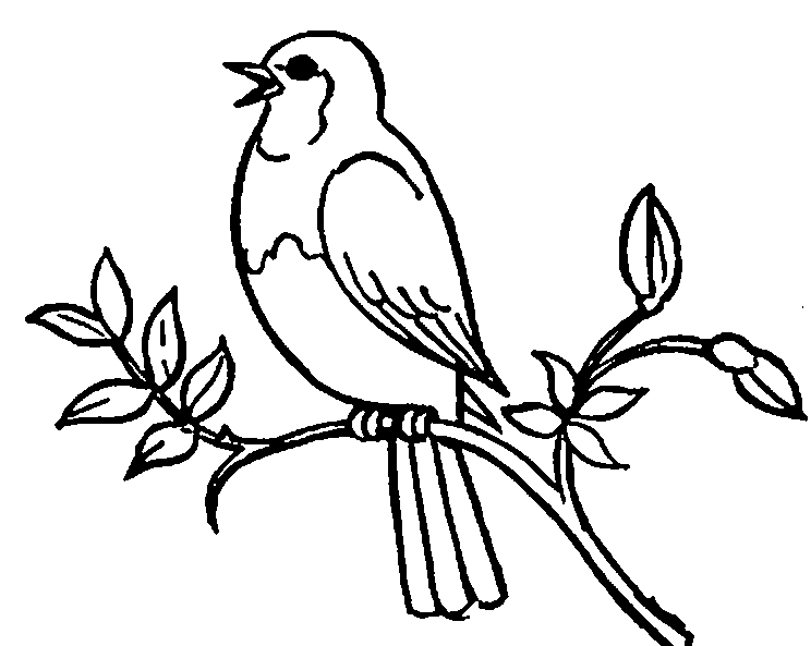 Singing Bird Clip Art   Cliparts Co