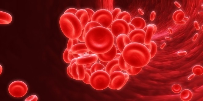 Causes The Red Blood Cells To Clot Together Blocking The Blood Vessels