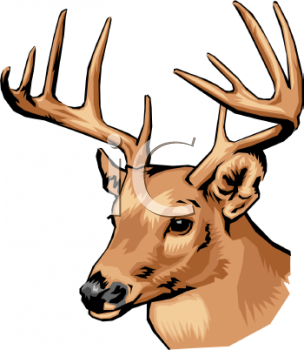 Deer Head   Royalty Free Clipart Image