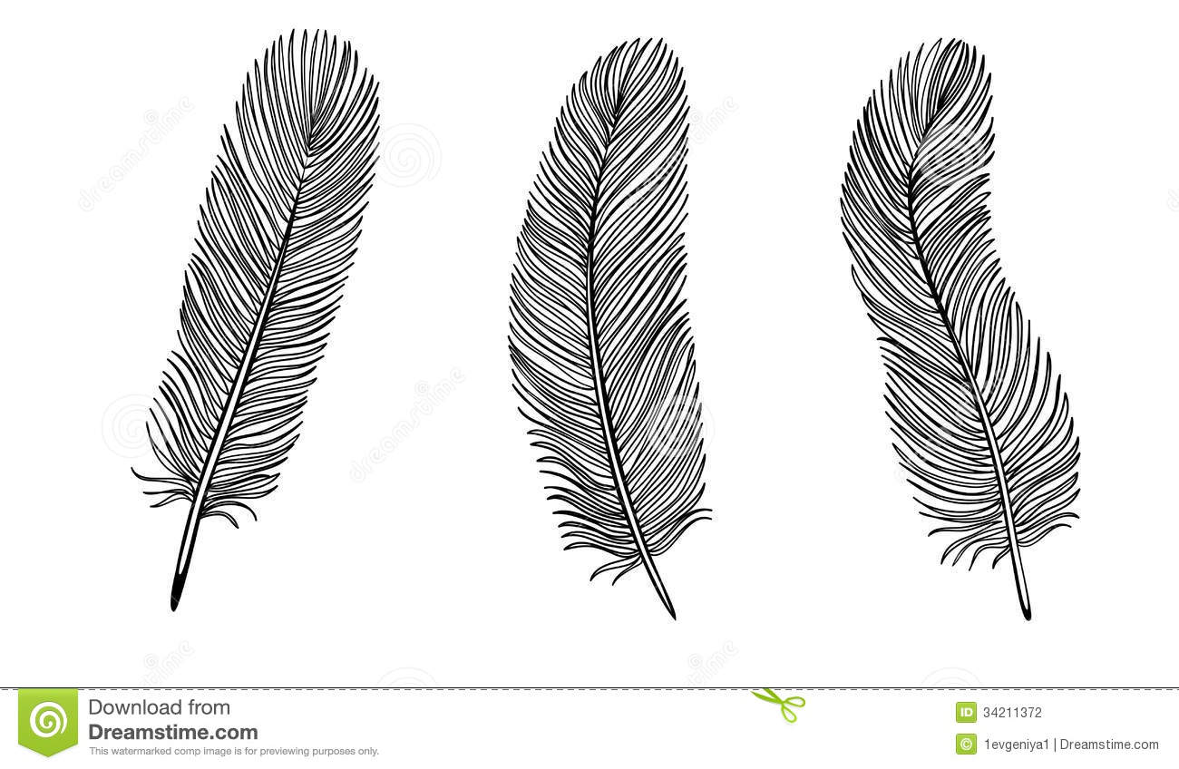 Feather Clipart Black And White Set Black White Feather Many
