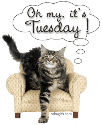 Oh My    It S Tuesday    Images And E Cards