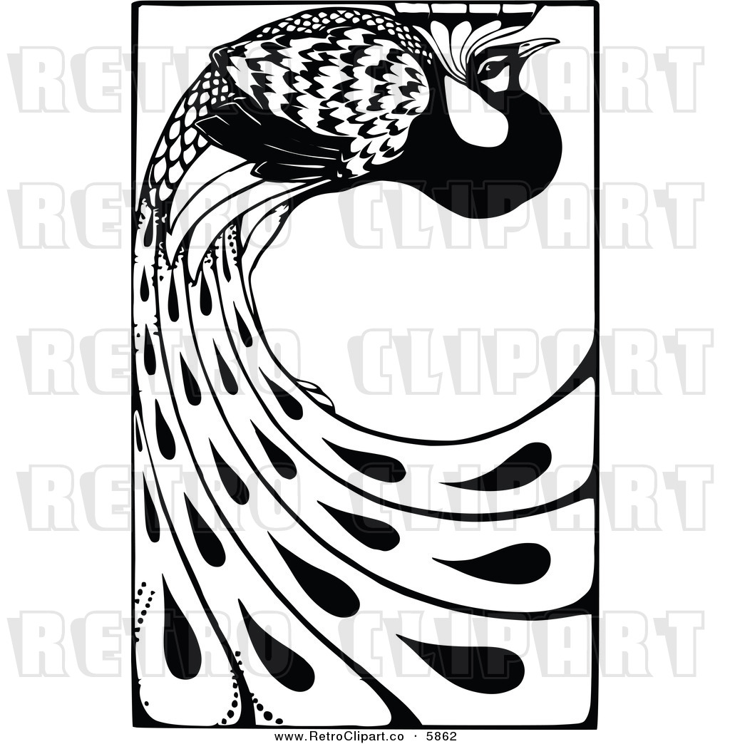 Vector Clipart Of A Retro Black And White Peacock With Long Feathers
