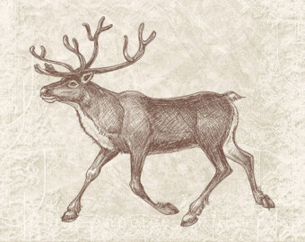 Vintage Christmas Antlers Reindeer Silhouette Caribou Clipart