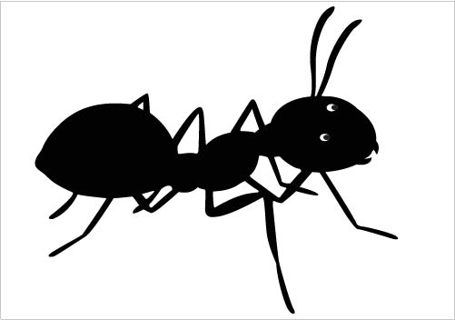 Awesome Ant Silhouette Vector Clipart Download Ant Silhouette