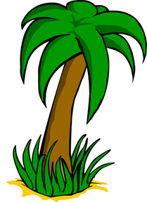 Cartoon Jungle Tree Images   Pictures   Becuo