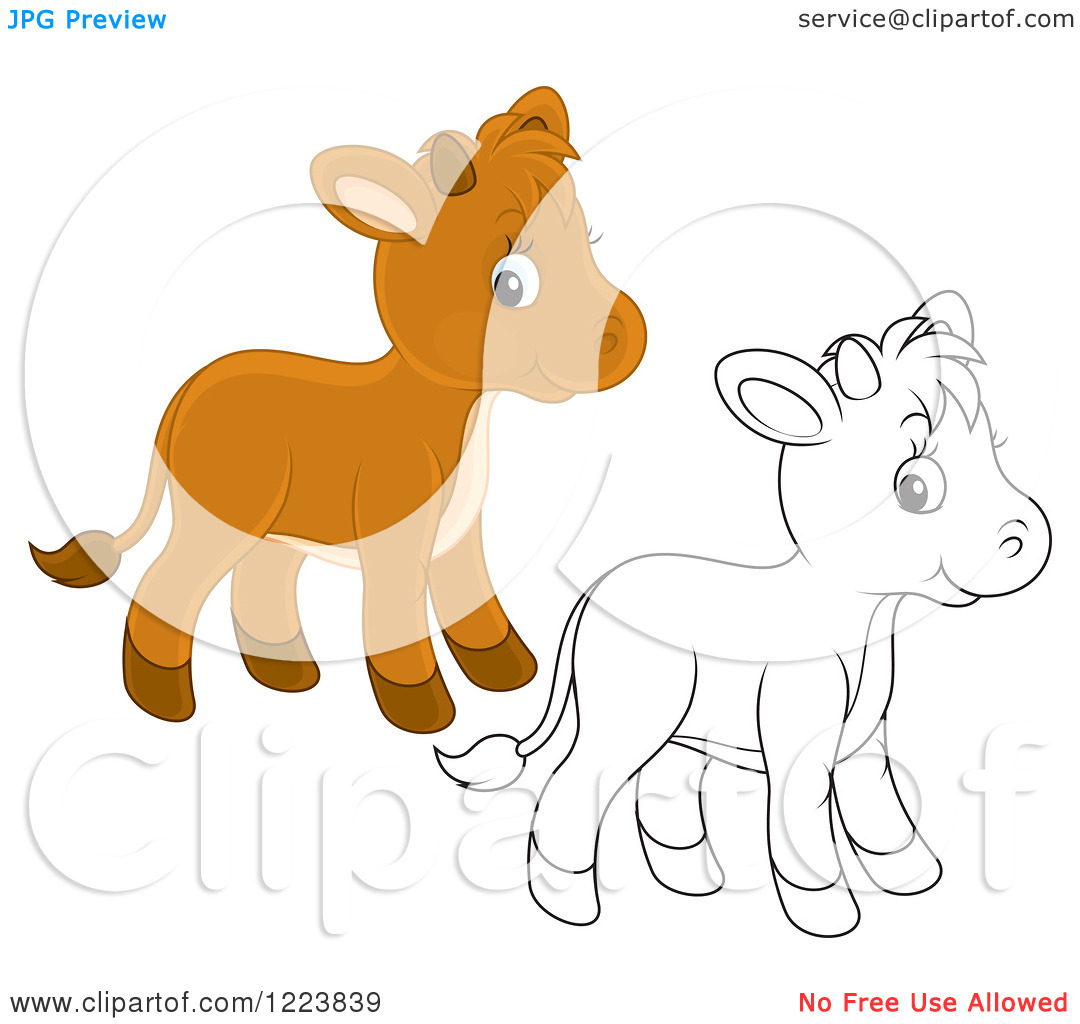 Clipart Of Outlined And Colored Cute Baby Calf Cows   Royalty Free