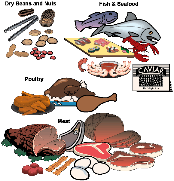 Food Groups Nutrition Information Meat Poultry And Fish Food Group