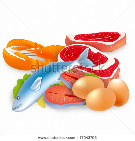 Nutritional Group With Fish Meat Beans Nuts Eggs   Stock Photo