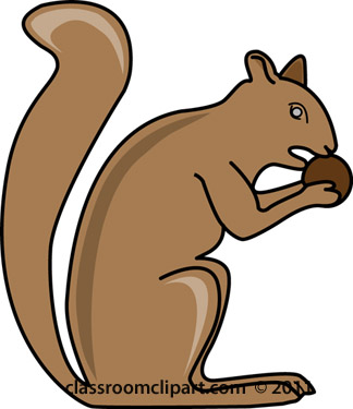Squirrel Clipart   Squirrels Eating Nut   Classroom Clipart