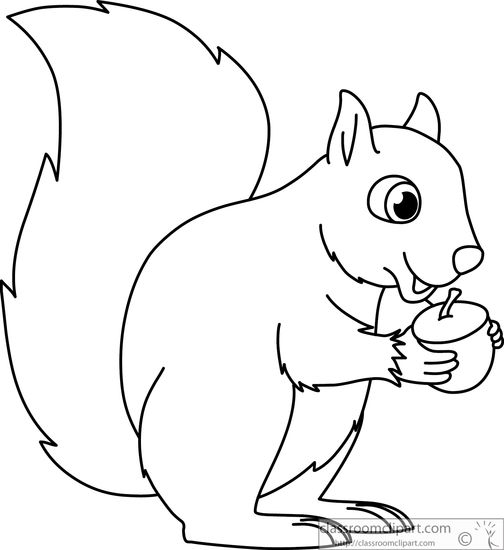 Squirrel Holding Acorn Nut Black White Outline 914   Classroom Clipart