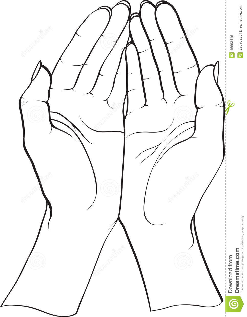 Two Hands Royalty Free Stock Image   Image  16663416