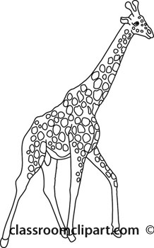 Animals   Africa Giraffe 1 Outline   Classroom Clipart