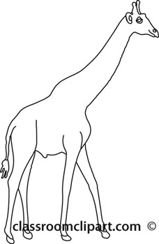 Animals   Standing Giraffe 2a Outline   Classroom Clipart