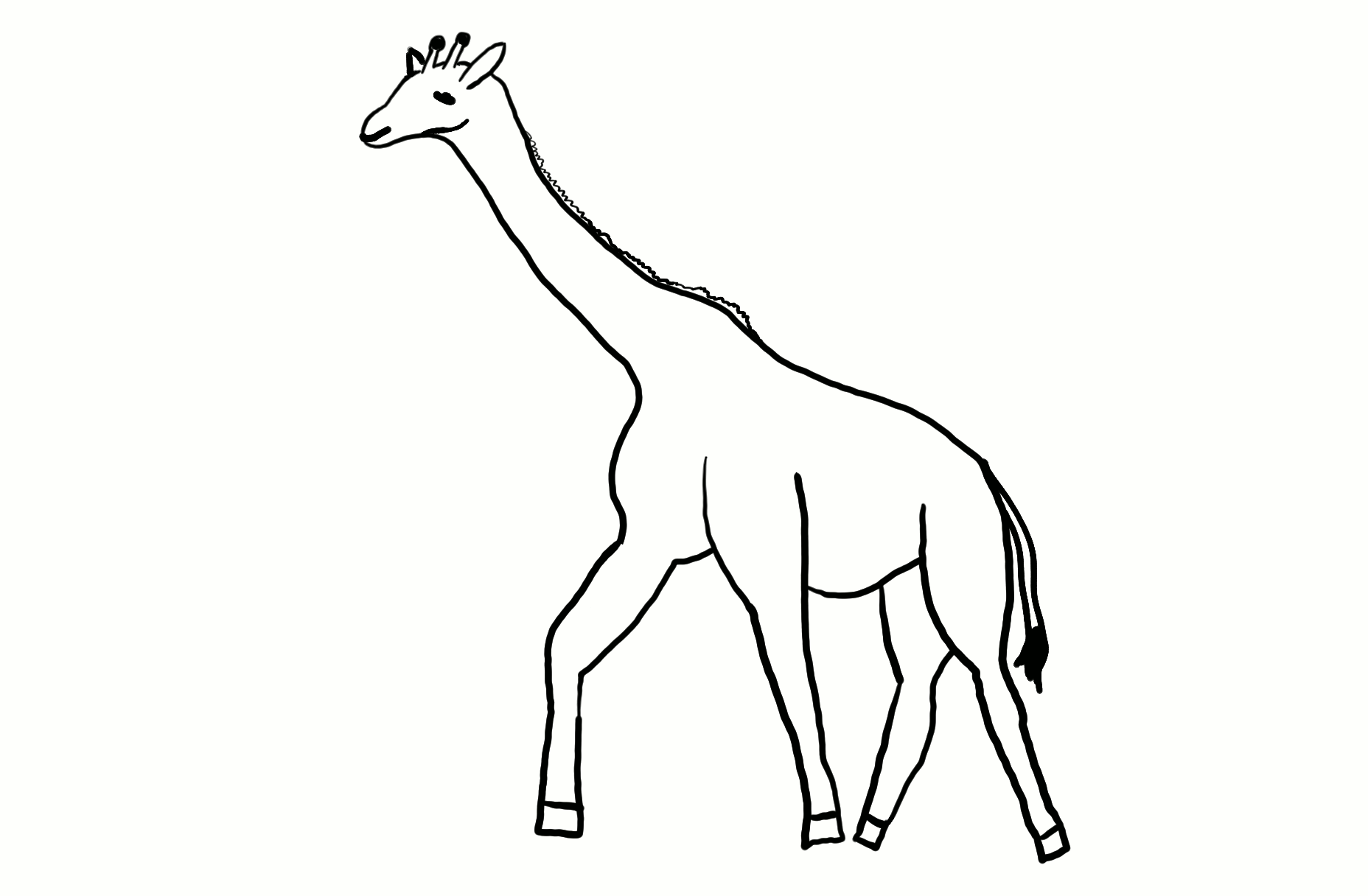 Giraffe Outline For Colouring In