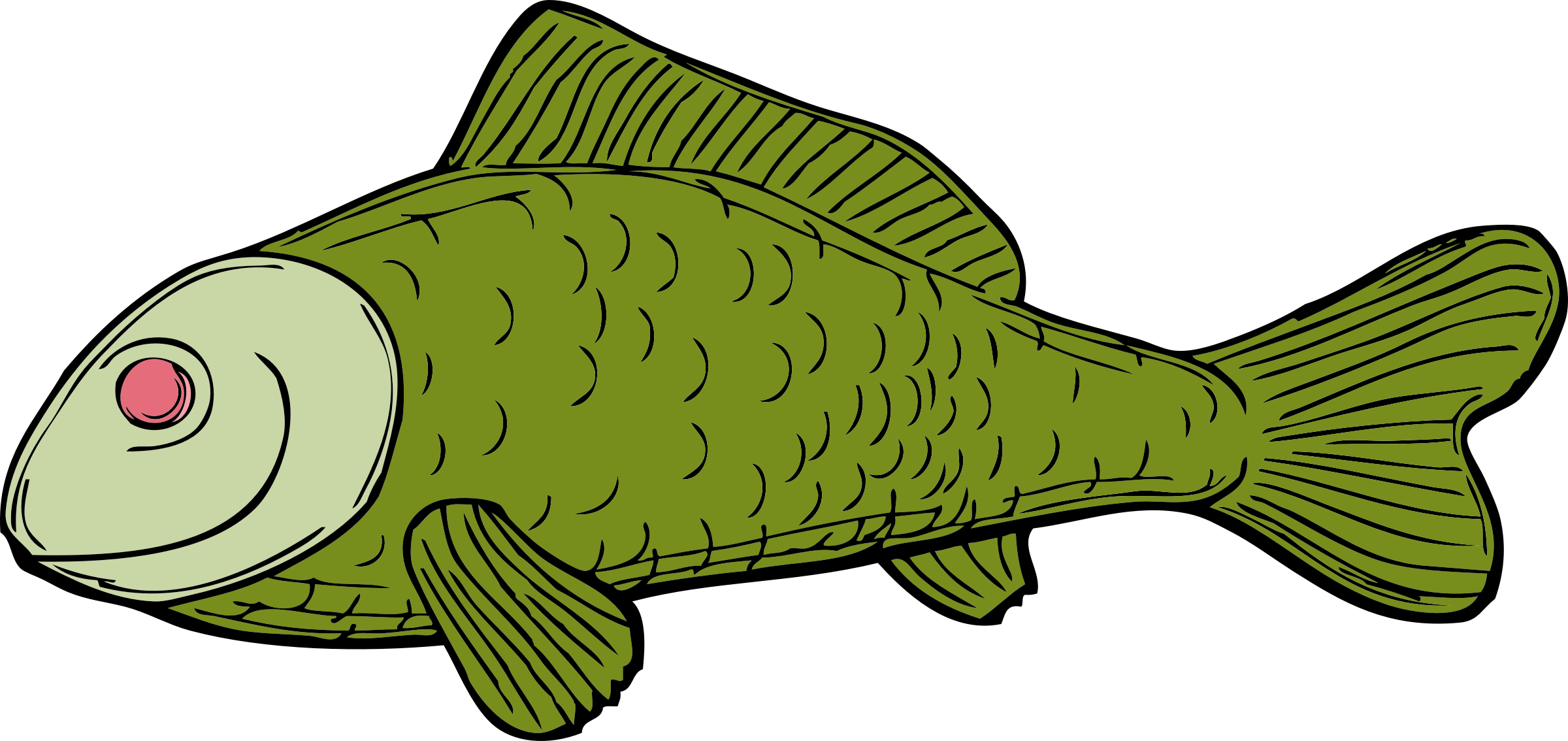Green Fish By Johnny Automatic
