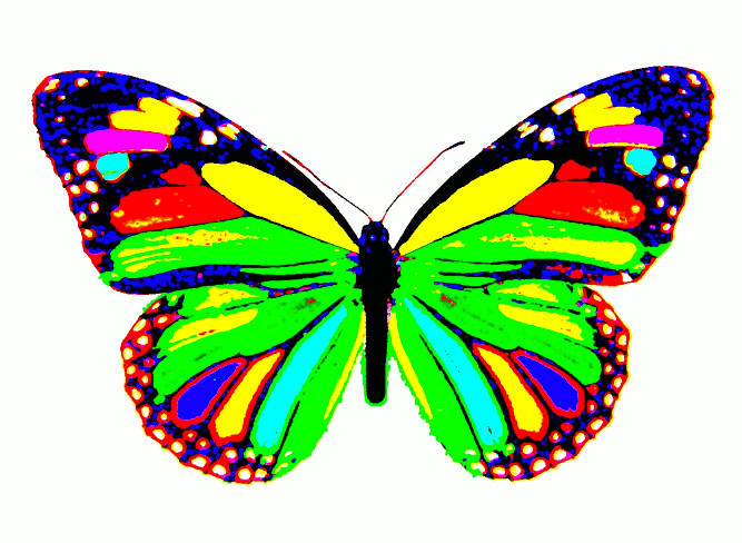 Rainbow Butterfly By Optilux On Deviantart