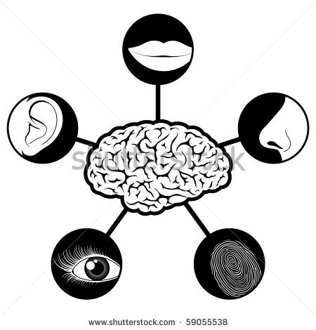 Senses Clipart Black And White Five Senses Icons Controlled