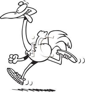 Black And White Running Ostrich   Royalty Free Clipart Picture