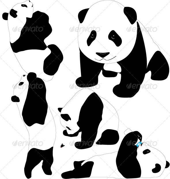Baby Background Bear Bottle China Climbing Cute Design Drawing