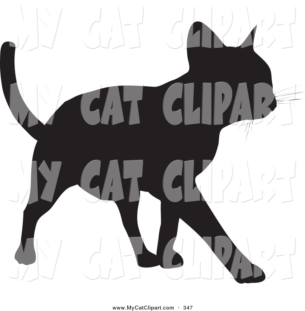     Cat Silhouetted In Black Walking Forward On A White Background By Kj