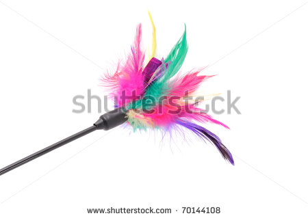 Cat Toys Stock Photos Images   Pictures   Shutterstock
