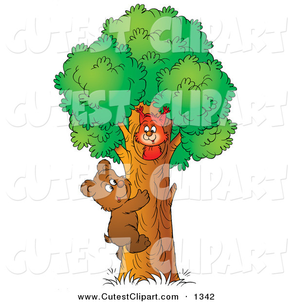 Clip Art Of A Cute Brown Bear Cub Climbing A Tree To Visit A Red