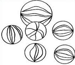 Free Marbles Clipart