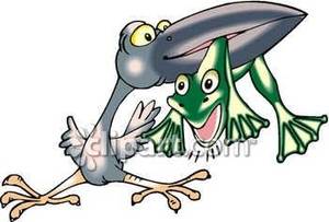 Cartoon Crow With A Frog In Its Beak   Royalty Free Clipart Picture