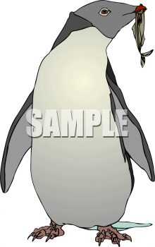 Royalty Free Penguin Clip Art Bird Clipart
