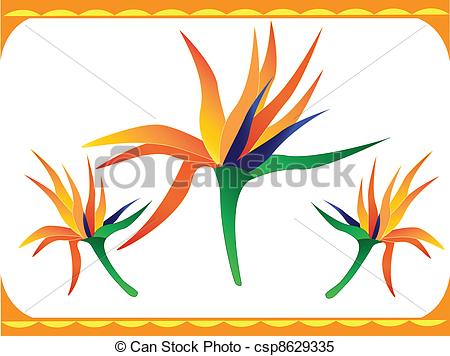 Clipart Vector Of Bird Of Paradise Flower   A Bright Tropical Bird Of    