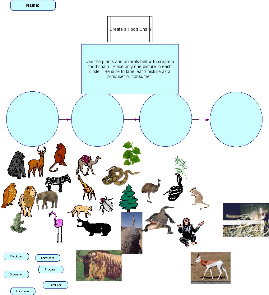 Displaying 19  Images For   Science Fair Materials Clipart