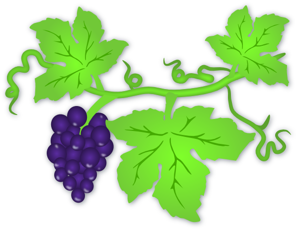 Grape Vine Clip Art At Clker Com   Vector Clip Art Online Royalty