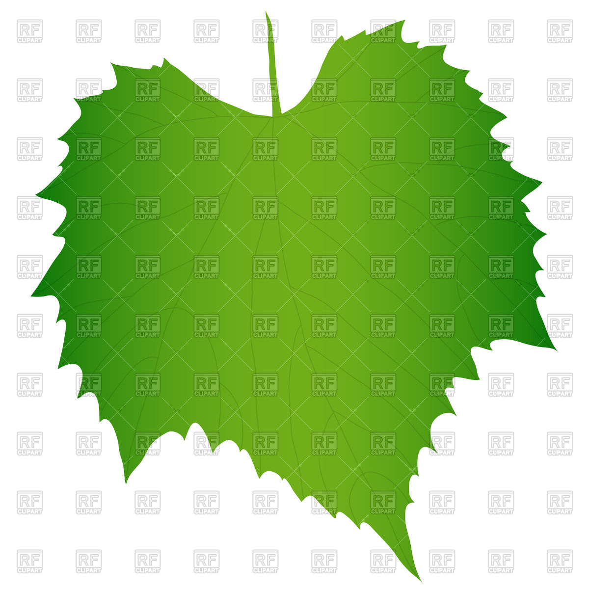 Green Grape Leaf Download Royalty Free Vector Clipart  Eps