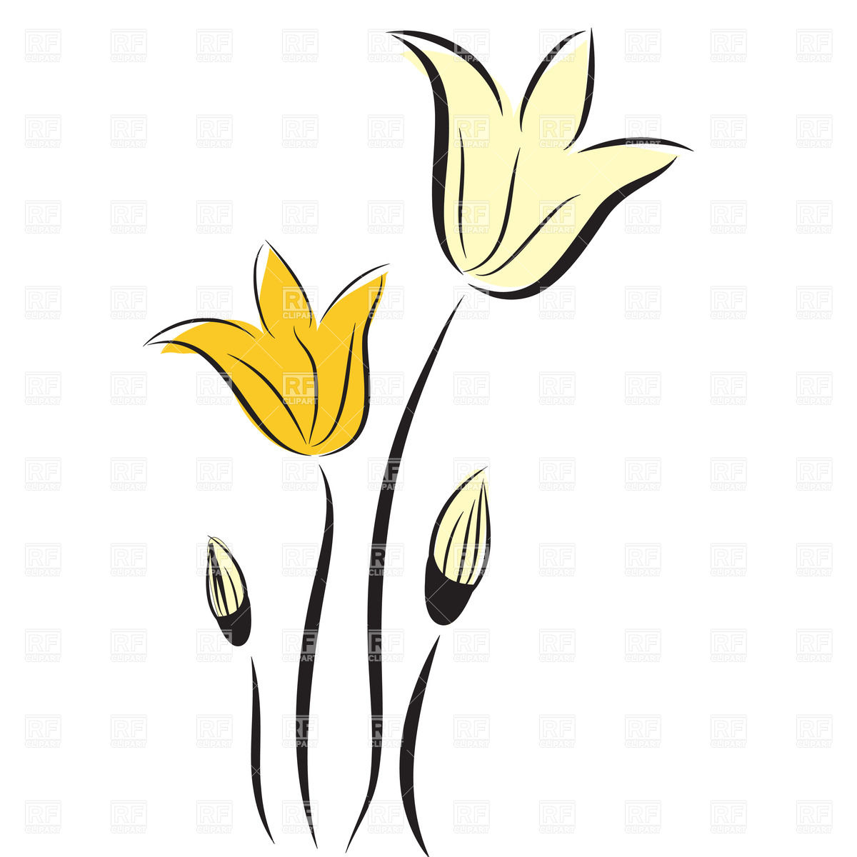 Hand Drawn Tulips Download Royalty Free Vector Clipart  Eps