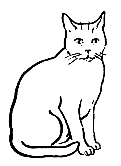 Image Cat Clipart For Term Side Of Card