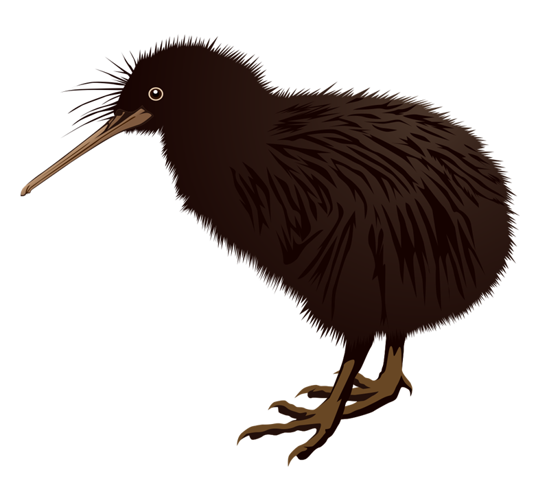 Kiwi Bird Clipart The Kiwi Bird Is A Small