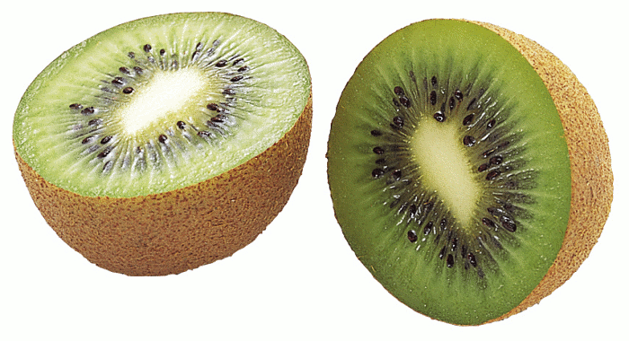 Kiwi Photo   Http   Www Wpclipart Com Food Fruit Kiwi Kiwi Photo Png