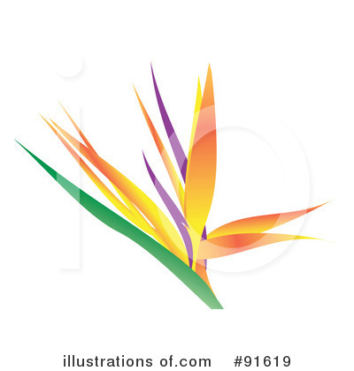 Royalty Free  Rf  Bird Of Paradise Clipart Illustration  91619 By