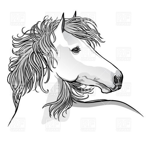 Sketch Of Hand Drawn Horse Download Royalty Free Vector Clipart  Eps