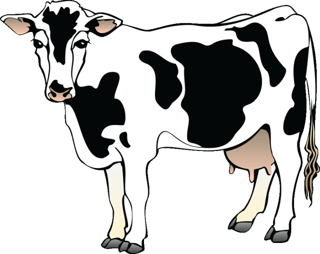 Black And White Cow Clip Art