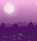 Mountain Violet Flower Stock Vectors Illustrations   Clipart