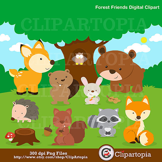 Clipart   Forest Animal Clipart   Cute Animal Clipart   Owl Clipart By