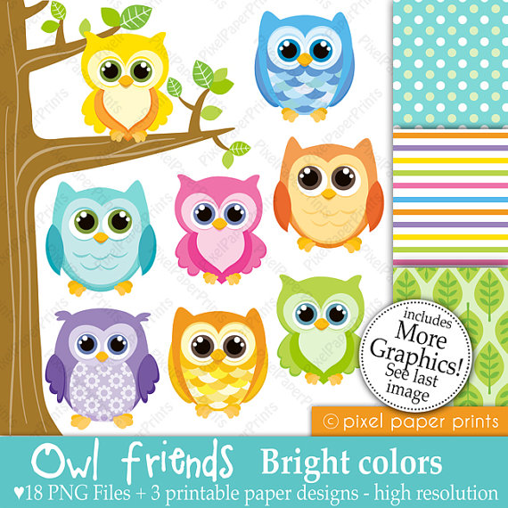     Friends   Bright Colors   Digital Paper And Clip Art Set   Owl Clipart